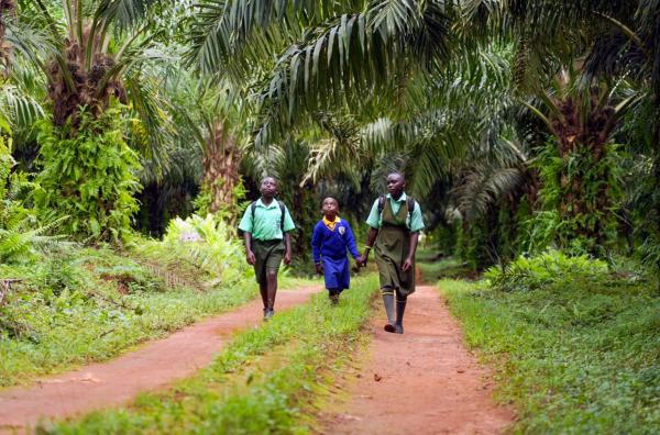 Bild 1 von 3: Bwambale Dan, Masereka Stuart und Muhindo Daphine (v.l.) bei ihrem Gang zur Schule: Der Weg ist beschwerlich und dauert mehrere Stunden.