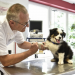 Bilder zur Sendung: Hautnah: Die Tierklinik