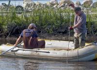 Die Schatzsucher von Oak Island