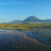 Afrikas Ikonen der Tierwelt