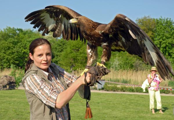 Bild 1 von 8: Mit einem Trick ist es Susanne Mertens (Elisabeth Lanz) gelungen, den Steinadler zu fangen.