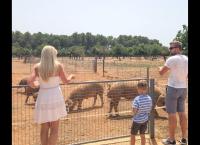 Goodbye Deutschland! Die Auswanderer