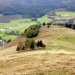 Feste und Bräuche auf dem Land - Erinnerungen aus dem Südwesten