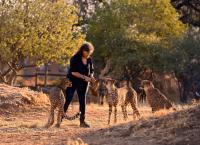 Namibia - Im Land der letzten Riesen