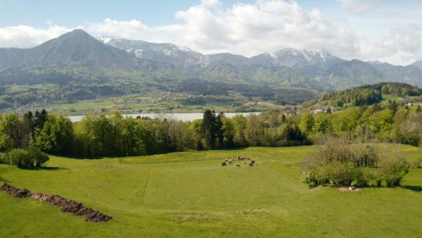 Bild 1 von 2: .