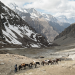 Mit dem Rucksack durch Nepal