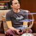 The Big Bang Theory