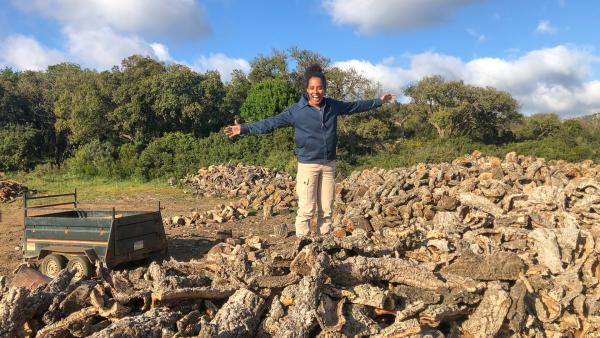 Bild 1 von 6: In den Korkeichenwäldern Spaniens werden jedes Jahr riesige Mengen Kork geerntet.