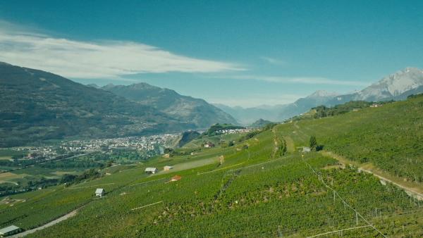 Bild 1 von 4: Das Wallis ist die Sonnenstube der Schweiz.