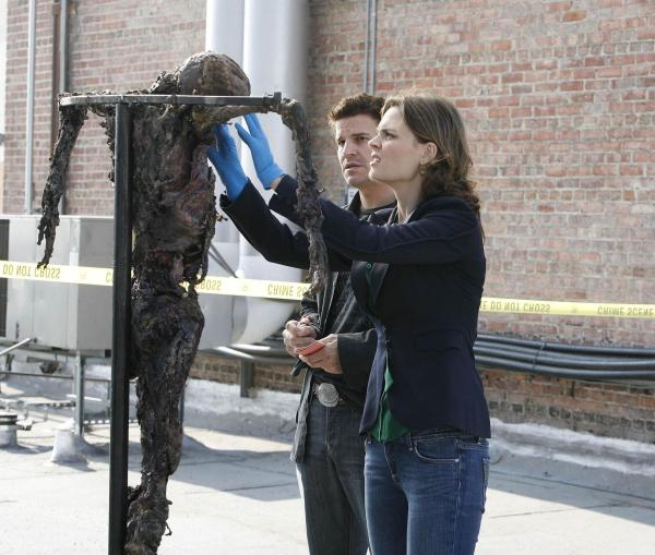 Bild 1 von 12: Booth (David Boreanaz, l.); Dr. Brennan (Emily Deschanel, r.)