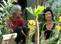 Verborgene Gärten von Wien