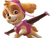 PAW Patrol - Helfer auf vier Pfoten
