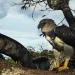Guyana - Der Weg des Jaguars