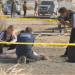 Bilder zur Sendung: CSI: Den Tätern auf der Spur