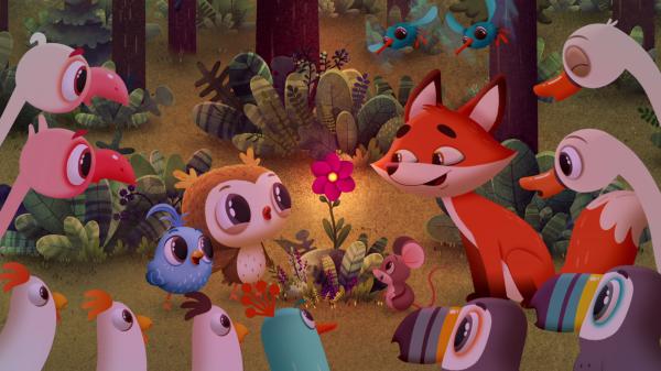 Bild 1 von 1: Die Campleiterin hat im Wald eine ganz besondere Pflanze entdeckt, die dort nur selten wächst. Jetzt braucht sie jemanden, der auf sie aufpasst.