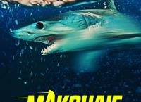 Makohaie vor Kalifornien