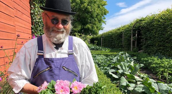 Bild 1 von 4: Grünkohl auf schwedisch - Gärtner Simon Irvine auf Schloss Läckö Slott am Vänersee.