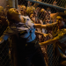 Scouts vs. Zombies - Handbuch zur Zombie-Apokalypse
