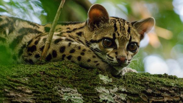 Bild 1 von 1: Key Visual/Cover Sendereihenbild ohne Typo zu \