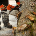 STIHL Timbersports