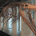 Lost Beasts - Riesen der Urzeit