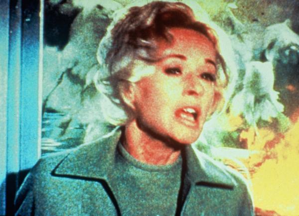 Bild 1 von 6: Die Vögel