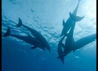 Rätselhafte Phänomene