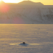 Menschen am Rande der Welt - Spitzbergen