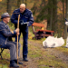 Bild 22