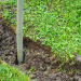 Natur im Garten