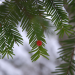 Abenteuer Wildnis