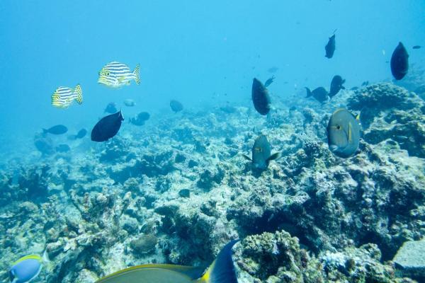 Bild 1 von 1: 