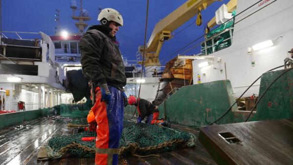 Bild 1 von 3: Schon in den frühen Morgenstunden müssen die Fischer aufbrechen, um die Netze auszuwerfen.