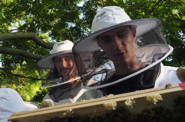 Bild 1 von 7: Eine Gruppe von Jugendlichen entdeckt im Parc de la Villette die Welt der Bienen.
