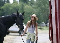 Heartland - Paradies für Pferde
