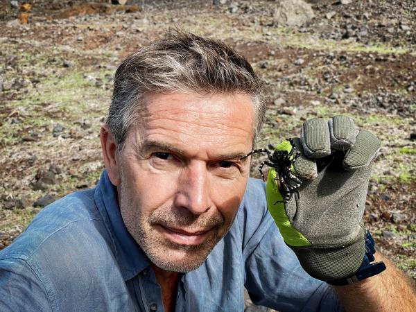Bild 1 von 5: Dirk Steffens mit der größten Wolfsspinne Europas. Sie ist eine der seltensten Spinnen der Welt. Den Handschuh trägt er nicht ohne Grund, ihr Gift ist zwar nicht lebensgefährlich, aber ziemlich schmerzhaft.