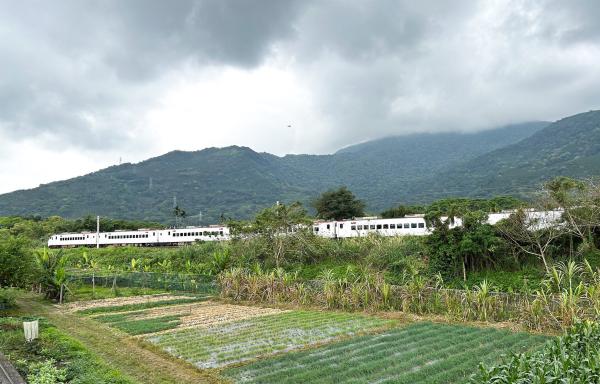 Bild 1 von 7: Die Bahn fährt im Osten Taiwans auf einem schmalen Küstenstreifen.
