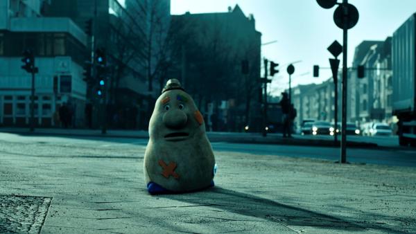 Bild 1 von 5: Beutolomäus sucht verzweifelt nach Sascha.