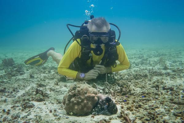 Bild 1 von 11: Hannes Jaenicke beim Tauchen in  Indonesien mit einer Großen Blauen Krake (Day Octopus) im Vordergrund