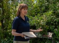 The Chelsea Detective