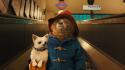 SRTL 20:15: Paddington
