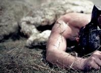 Almost Human
