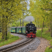 Feuer, Wasser, Dampfmaschine - Die Lößnitzgrundbahn