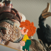 Neue Geschichten vom Pumuckl
