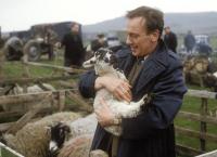 Der Doktor und das liebe Vieh