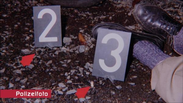 Bild 1 von 3: 