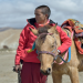 Tibet - Tashis Dilemma mit der Disziplin