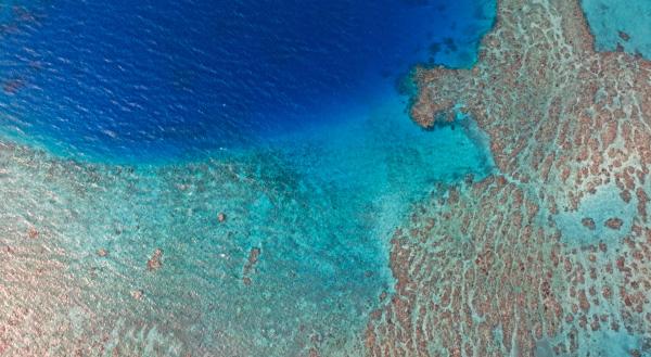 Bild 1 von 5: Die meisten der Fidschi-Inseln sind durch ein Korallenriff geschützt.