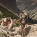 Über alle Berge - Mit Lamas über die Alpen