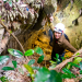 Vietnam - Eine Reise mit Mai Thi Nguyen-Kim